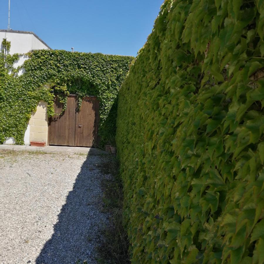 B&B Villasalento Le Cavallino di Lecce Esterno foto